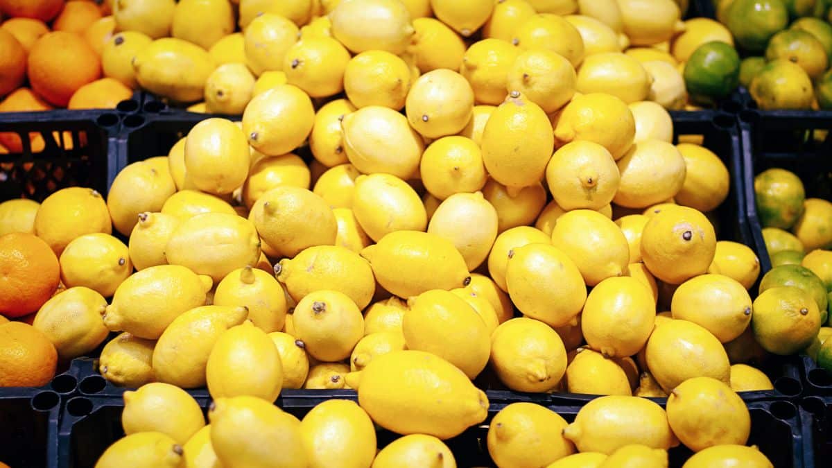 les citrons qui viennent de ces 2 pays sont bourrés de pesticides, voici ceux qu’il ne faut plus acheter au supermarché